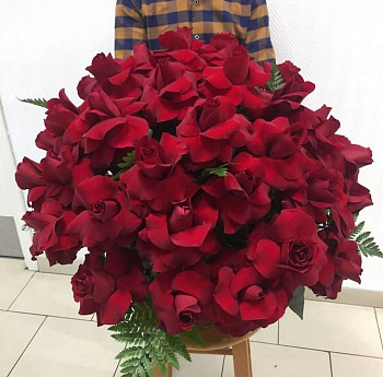 Роза "Эксплорер" в плетёной корзине 51шт.
