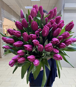 "Тюльпаны фукси" 41шт. 