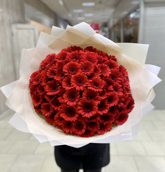 Красные гермини 101шт. 